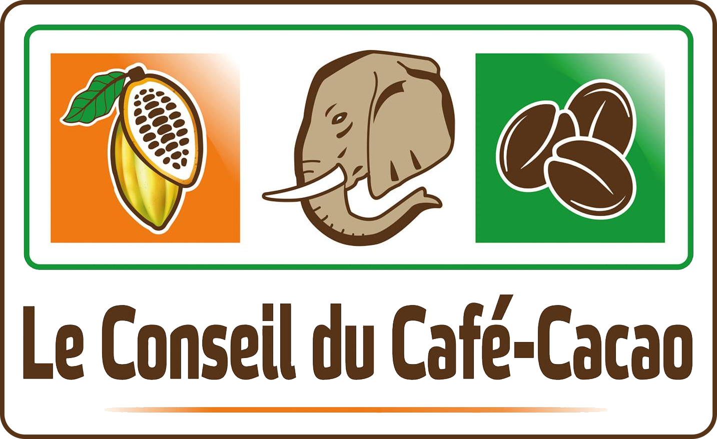 logo-conseil-cafe-cacao